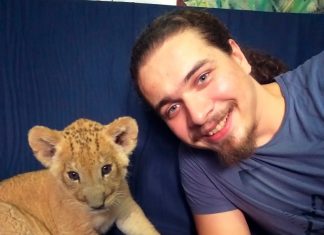 На Шри-Ланке суд арестовал двух россиян за сбор мертвых жуков