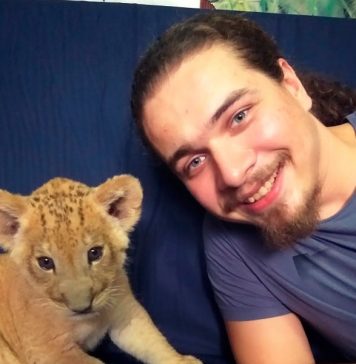 На Шри-Ланке суд арестовал двух россиян за сбор мертвых жуков