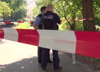 Правоохранительные органы Германии обнаружили второго россиянина, участвовавшего в убийстве Хангошвили