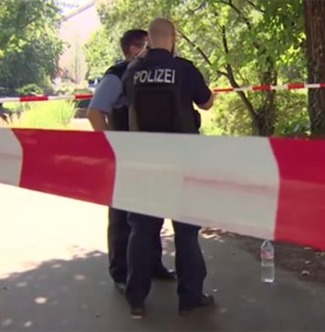 Правоохранительные органы Германии обнаружили второго россиянина, участвовавшего в убийстве Хангошвили