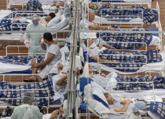 Более 15 млн человек в мире заразились коронавирусом