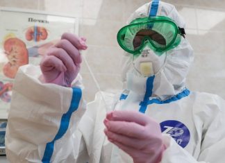 Число проведенных в России тестов на коронавирус превысило 23 млн
