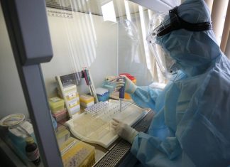 Эксперт: испытания вакцины от коронавируса для детей могут начаться в течение полугода