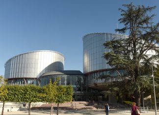 ЕСПЧ зарегистрировал иск Нидерландов против России по поводу крушения Boeing на Украине