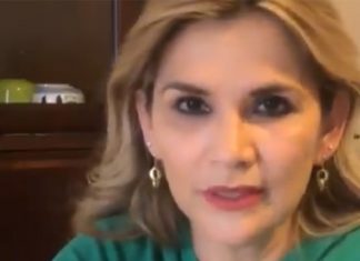 И. о. президента Боливии Жанин Аньес заразилась коронавирусом