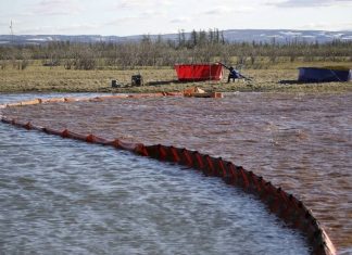 «Известия»: Минфин скорректирует Бюджетный кодекс из-за выплаты компенсации «Норникелем»