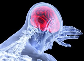 Немецкие нейробиологи: в спокойном состоянии человеческий мозг нуждается в четверти объема поступающего извне кислорода