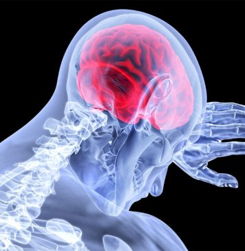 Немецкие нейробиологи: в спокойном состоянии человеческий мозг нуждается в четверти объема поступающего извне кислорода