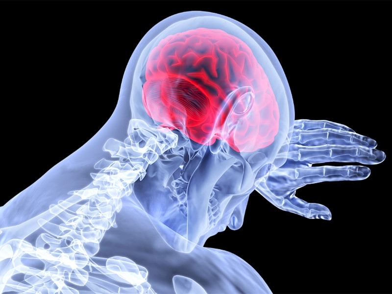 Немецкие нейробиологи: в спокойном состоянии человеческий мозг  нуждается в четверти объема поступающего извне кислорода