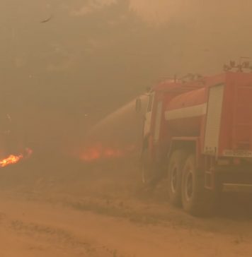 Природный пожар на востоке Украины уничтожил более 100 домов, есть жертвы (ВИДЕО)
