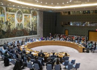 СБ ООН не принял проект резолюции России по продлению трансграничной помощи Сирии