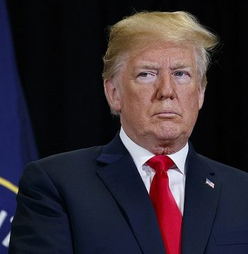 Трамп предложил отложить выборы в США в связи с пандемией