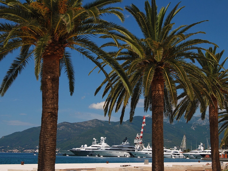 Черногория разрешила россиянам въезд без ограничений