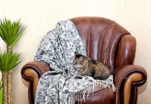 Где купить шерстяные пледы