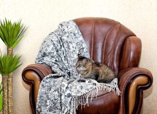 Где купить шерстяные пледы