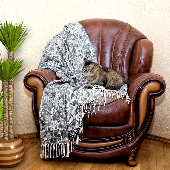 Где купить шерстяные пледы