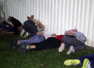 «Открытая Россия» заявила о задержании своих активистов в Минске