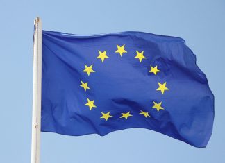 Представители стран ЕС призвали к проведению честных выборов в Белоруссии