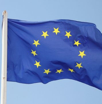 Представители стран ЕС призвали к проведению честных выборов в Белоруссии