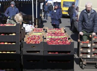 В России на 20% выросли оптовые цены на яблоки