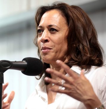 Выбор «мерзкой» Камалы Харрис в напарницы помог Байдену за сутки собрать рекордные $26 млн на кампанию