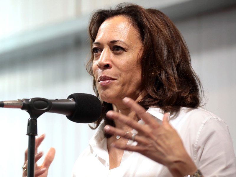 Выбор "мерзкой" Камалы Харрис в напарницы помог Байдену за сутки собрать рекордные $26 млн на кампанию