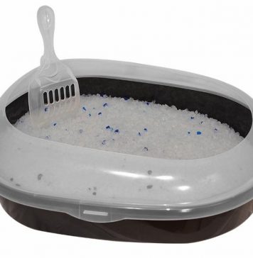 Большой выбор наполнителей туалета для котов