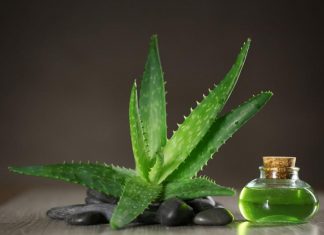 Особенности питьевого геля Алоэ Вера