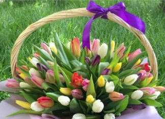 Лучший подарок по поводу и без