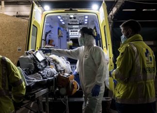 Более 80 млн человек в мире заразились коронавирусом