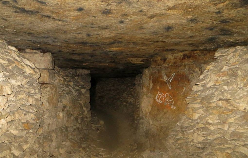 Пропавшие в Сьянских пещерах в Подмосковье дети найдены живыми

