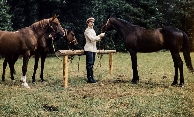 Биография Василия Ланового