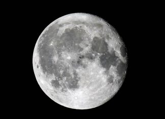 Биологи доказали, что менструальные циклы и фазы Луны связаны друг с другом