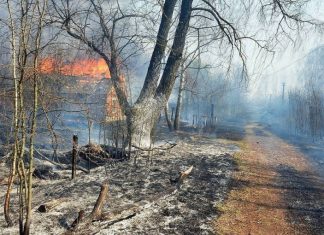 Экологи заявили о вторичном радиоактивном загрязнении из-за лесных пожаров в зоне ЧАЭС