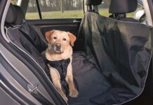 Как комфортно путешествовать на автомобиле вместе с собакой