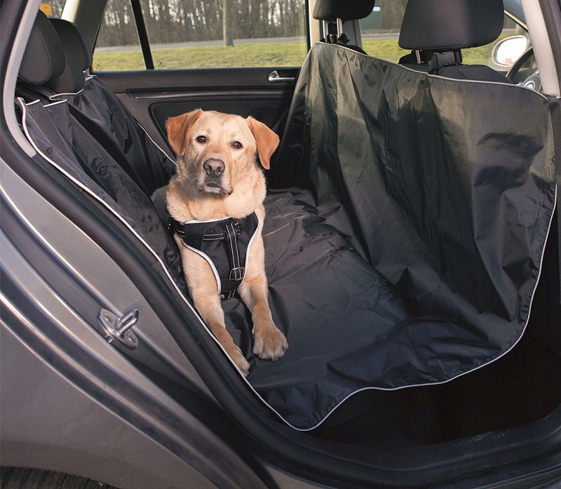 Как комфортно путешествовать на автомобиле вместе с собакой