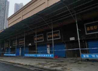 Группа экспертов ВОЗ собрала «важные улики», касающиеся рынка в Ухане и коронавируса