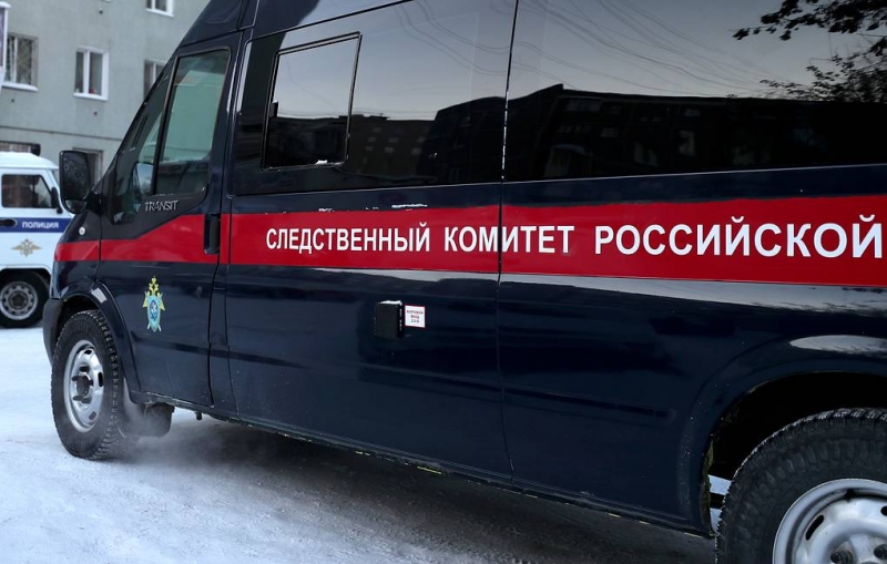 На Сахалине СК проводит проверку по сообщению в СМИ об избитой 15-летней девушке