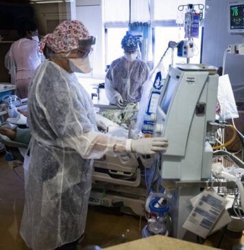 Обнаружена связь между лечением плазмой и мутациями коронавируса