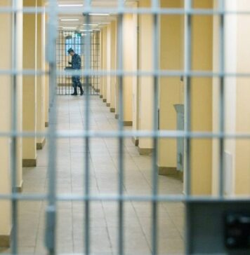 Обвиняемый в работе на украинскую разведку напал на сотрудника СИЗО «Лефортово»