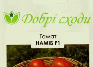 Как правильно выбрать семена томатов