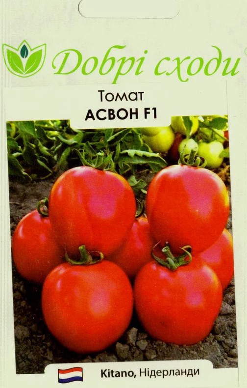 Как правильно выбрать семена томатов