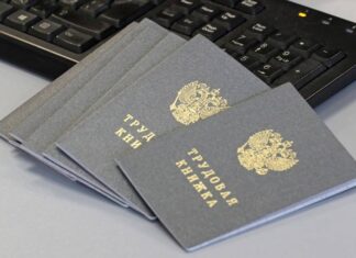 СМИ: Минтруд может ввести трудовые книжки нового образца с 2023 года