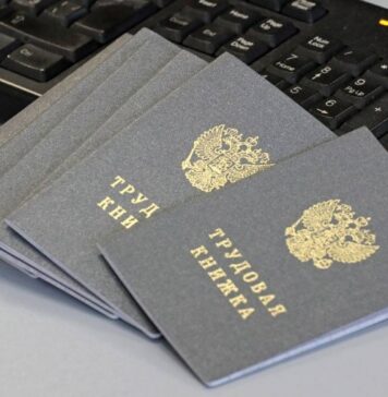 СМИ: Минтруд может ввести трудовые книжки нового образца с 2023 года