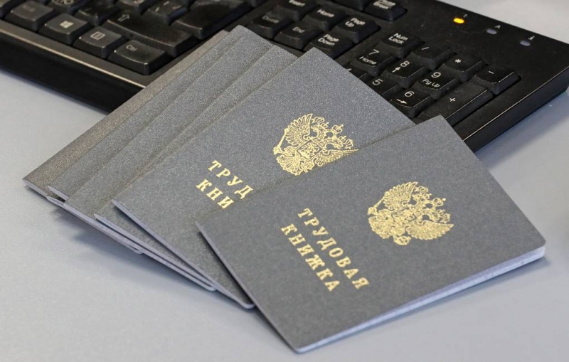 СМИ: Минтруд может ввести трудовые книжки нового образца с 2023 года