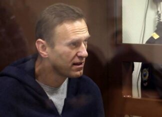 Судья сняла все вопросы Навального к внуку ветерана