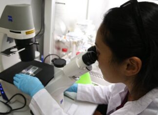 Ученые выделили гены, которые влияют на защиту от коронавируса