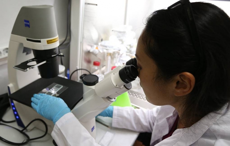 Ученые выделили гены, которые влияют на защиту от коронавируса