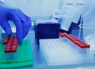 В Австрии рассказали о сроках сохранения иммунитета к коронавирусу