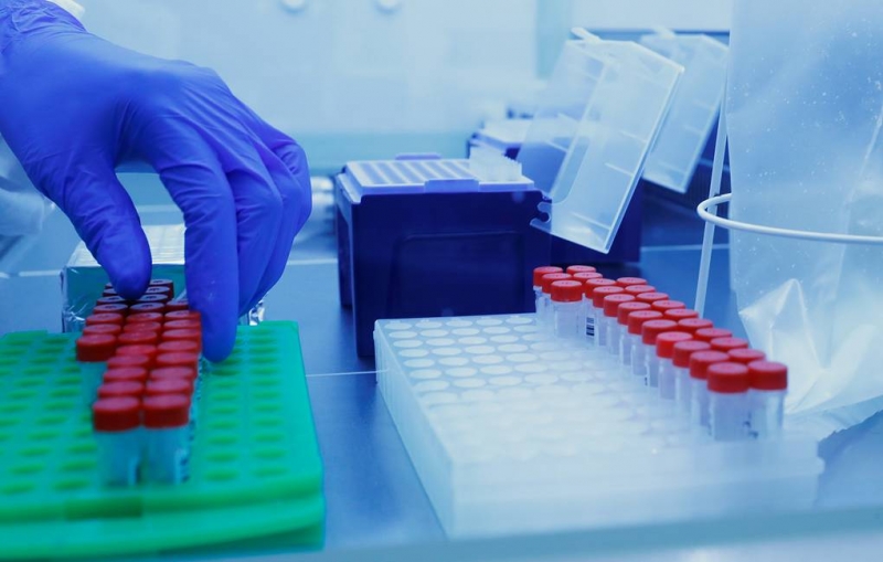 В Австрии рассказали о сроках сохранения иммунитета к коронавирусу

